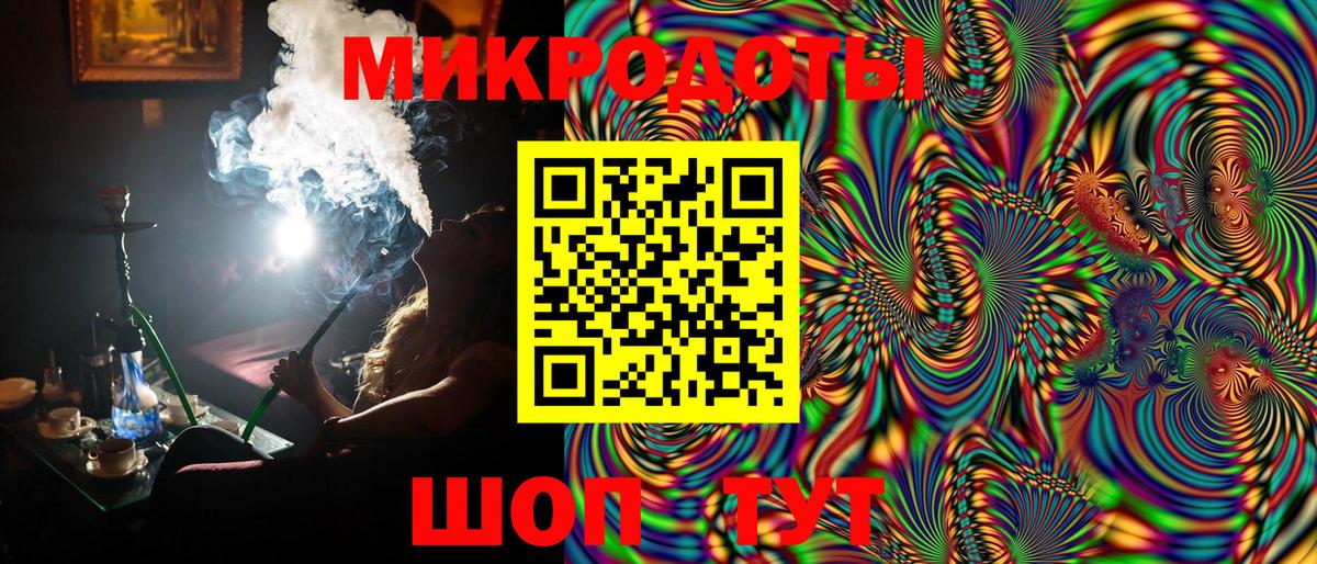 Псилоцибиновые грибы Psilocybe Усолье-Сибирское