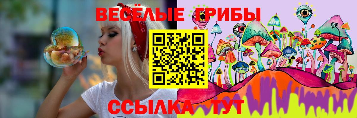 где купить   Галлюциногенные грибы Cubensis  Вход с VPN  Усолье-Сибирское 